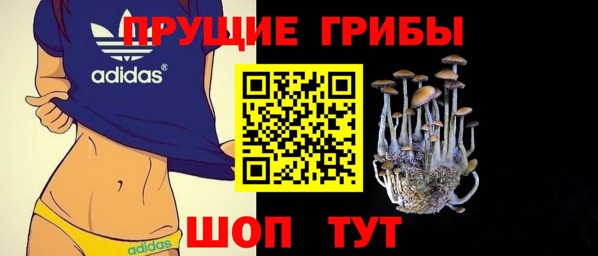 Старый Оскол  Псилоцибиновые грибы Psilocybe  Вход с VPN 